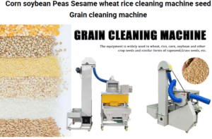 Seed Sorter seed sorter