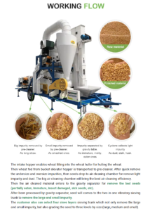 Seeds Cleaning Sorting Machine seeds cleaning sorting machine